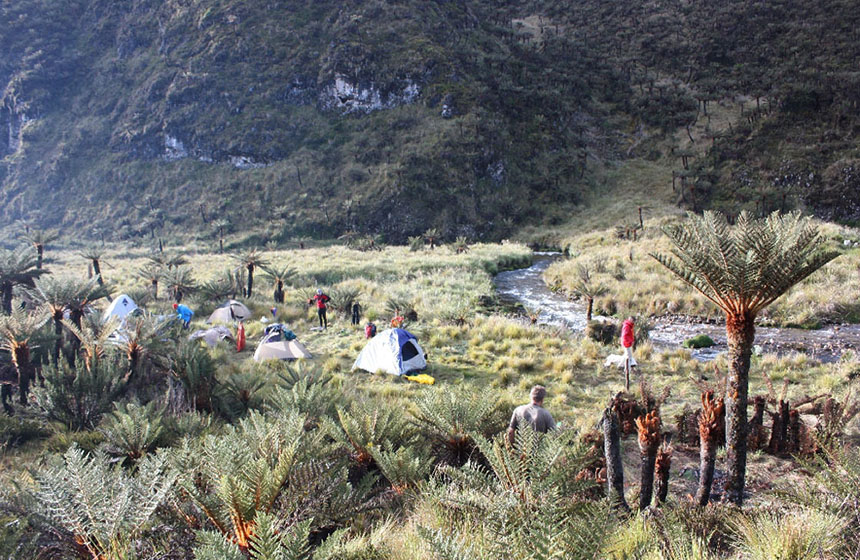 Papua_2019_0910_CarstenszPyramide